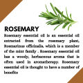 IKEBANA Rosemary Essential Oil - 20ml. 