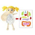 Halloween 3D Organ Stuffed Toy Body Structure Puzzle Doll Soft Plush Doll Physiological Educational Toy For Kids Home School TeachingDolls Accessories. 