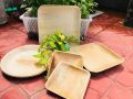 9'' Areca Leaf Plate, 3 Piece Round & 3 Piece Square - 6 Pieces - Eco-Friendly Areca Leaf Plates For Sustainable Dining. 