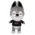 Skzoo Plush Toys Stray Kids 20cm Cartoon Stuffed Animal Plushies Doll Bbokari Leebit Wolf Chan Puppym Kids Adults Fans Gift Dislikelike. 