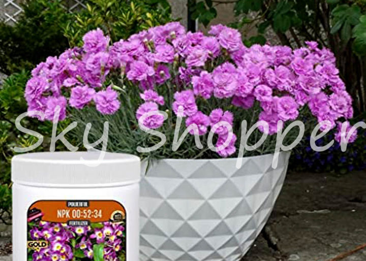 NPK%2000:52:34%20For%20Plants%20100%20Gram%20Repack%20With%20Best%20Quality%20Micronutrients%20For%20your%20Plant%20-%20Image%202