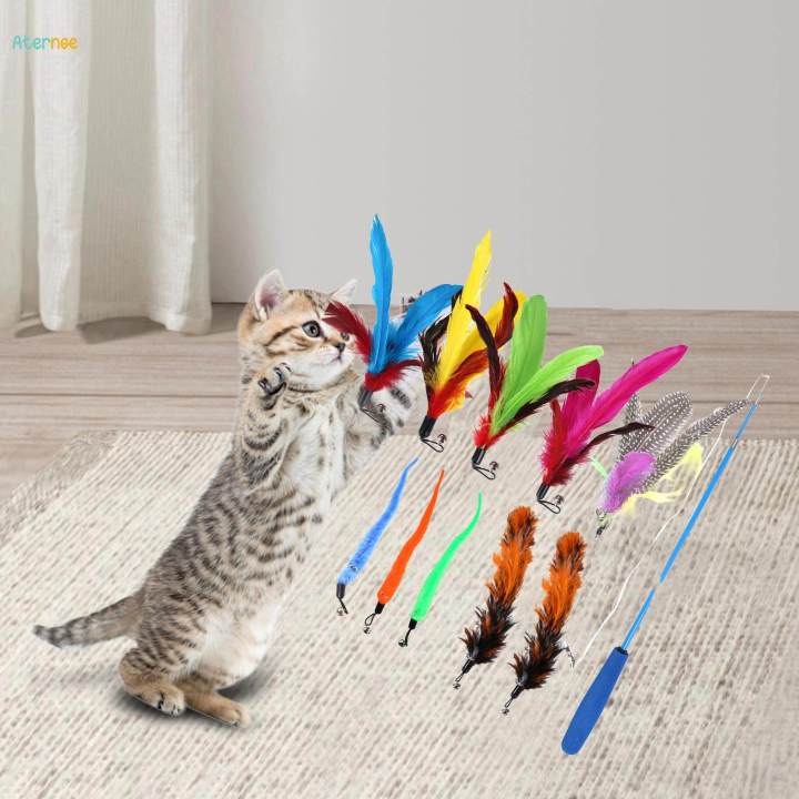 Cat Teaser Toy Exercise Pet Supplies Indoor Cats Chase Interactive Cat Toy
