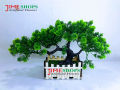 Artificial Bonsai Tree (35Cm Long+Wide) In Plastic Pot For Office, Home, Reading Table Decoration - Home Decoration Item - Home Decoration Item - artificial flower. 
