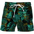 Men's Printed Beach Shorts Fashion Hawaii Comfort Swimwear Pants Men's Casual Quick Dry Breathable Teen Summer Shorts for Men.