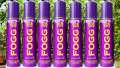 FOGG Regular Body Spray Women ( Paradise) 120ml.