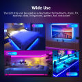5M LED Strips Lights RGB Water Proof 16 Colors With Remote Control 2835 RGB. 