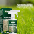 Grass and Turf Paint Friendly Lawn Colorant Maintenance Agent Increase Green Lawn Agent Green Grass Paint [Fashion and Trends]. 