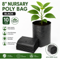 8"/8 " Nursary  Poly Bag Black  10 pcs. 