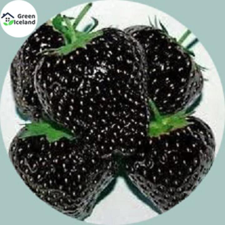 Organic Black Strawberry Seeds(কালো স্ট্রবেরি বীজ) - 30 Pcs Seeds