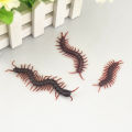 5pcs Realistic Insect Prank Funny Toys Mixed Simulation Insect Toy Chinese Silicone Soft  Simulation Plastic Cockroach Gecko Scorpion Cricket Spider Toy Realistic. 