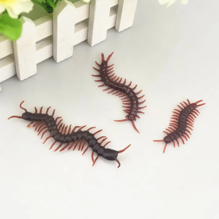 5pcs%20Realistic%20Insect%20Prank%20Funny%20Toys%20Mixed%20Simulation%20Insect%20Toy%20Chinese%20Silicone%20Soft%20%20Simulation%20Plastic%20Cockroach%20Gecko%20Scorpion%20Cricket%20Spider%20Toy%20Realistic%20-%20Image%205