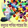 Product details of100 pice/lot Bird & Pigeon leg rings for beauty Multicolor .Use for identifying, similar looking birds more easy,. 