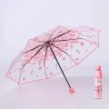 Cherry Blossom Korean Version Three Fold Transparent Umbrella. 