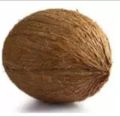 Coconut ( নারিকেল ) - 1 Pcs. 