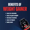 Gn Weight Gainer 1.6kg Natural High Protein Nutrition Supplement for Men and Women. 