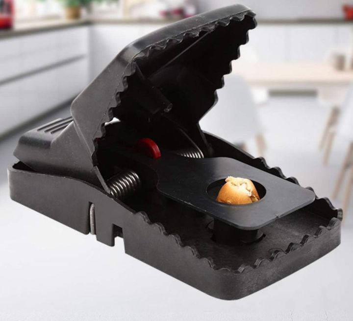 Mouse%20Killer%20Trap%20(5%C3%973%C3%973%20inches)%20-%20Image%202