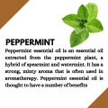 Ikebana Peppermint Essential oil 20 ml. 