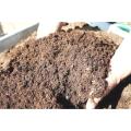 Coco peat Media For Seedling 2 kg. 