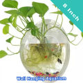 Plastic Wall Hanging Aquarium (8 Inch) | Aquarium Fish Tank | Wall Aquarium Bowl | Wall Hanging Fish Tank - Aquarium. 