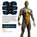 EMS Wireless Muscle Stimulator Trainer Smart Fitness Abdominal Training Electric Weight Loss Stickers Body Slimming Massager.