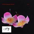 Artificial Flower Kathgolap Hijab Pin Violate color -2 pc.