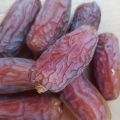মাশরুক-মেরিয়াম খেজুর 500g. 