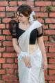 Cotton Crop top Short body and tissu sleeve blouse for Women and girls. 