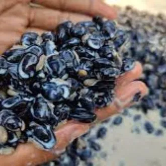 Alkushi%20Powder+%20%20%20Ashw%20%20gan%20%20dha%20Powder%20%20+%20%20Shimul%20Powder%20combo%20Pack%20-%20600%20gm(Organic)%20-%20Image%204