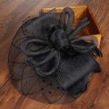 【Shop the Look】 Mesh Headband Headwewar Fascinators Hat Hair Accessory Hair Clip Feathers Fedoras.