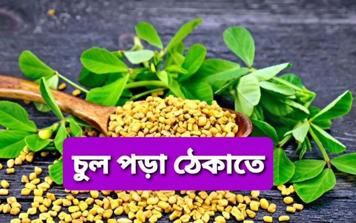 Methi%20%E0%A6%AE%E0%A7%87%E0%A6%A5%E0%A6%BF%20fenugreek%20150g%20-%20Image%202
