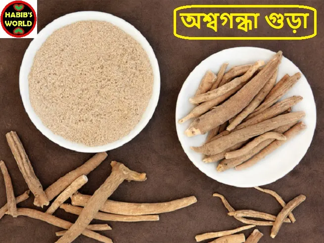 Ashwagandha%20Powder%20200%20grams%20-%20Image%206