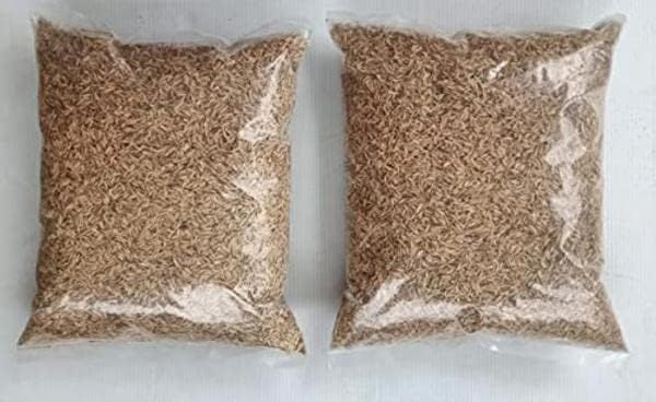 Natural%20Rice%20Husk%201%20kg%20Pure%20and%20Organic%20Husk%20for%20Manure%20and%20Fertilizer%20Rice%20Hulls%20for%20Plants%20and%20Gardening%20Rice%20Paddy%20Husk/Hulls%20for%20Plants%20Grow%20-%20Image%203
