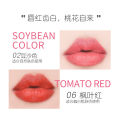 Custom lipstick, lip gloss, moisturizing, hydrating, lipstick, plain makeup, natural nude lip gloss, non-stick cup. 