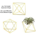 Air Plant Holder 20 Packs Metal Decor Modern Geometric Hanger Hanging Air Plants Planter Tabletop Display Rack. 