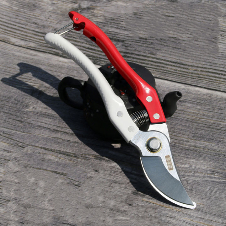 Garden Scissor, Pruning Scissor, Rust proof SS Material,  Pruning Shears for Plants , Smooth Brunch Cutter for your Garden.