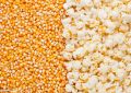 Organic Natural Pop Corn Kernels-5kg, Popcorn Vutta. 