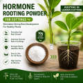 Hormone Rooting Powder(For Cuttings) 10g Loose Re-Pack.