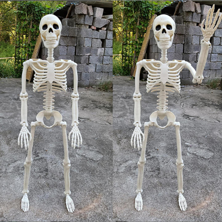 165cm Halloween Skeleton Skeleton Decoration Lightweight Realistic Poseable Simulated Skeleton Skeleton Full Size Halloween