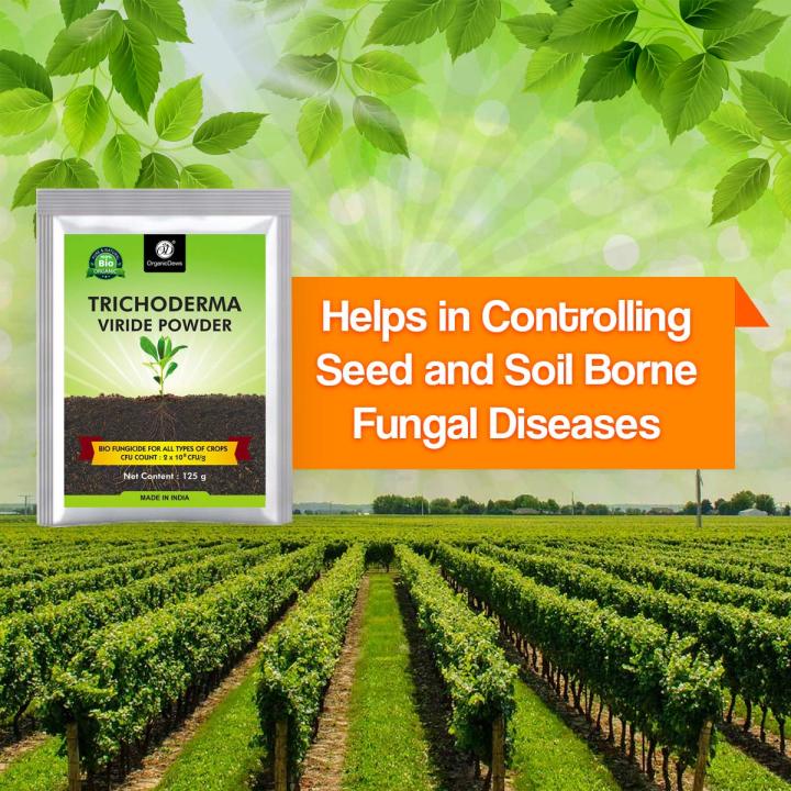 Trichoderma%20Viride%20Powder%20100%20Gram%20Repack%20Bio%20Fungicide%20%20Prevents%20Fungal%20and%20Bacterial%20Diseases%20in%20Plants%20-%20Image%202