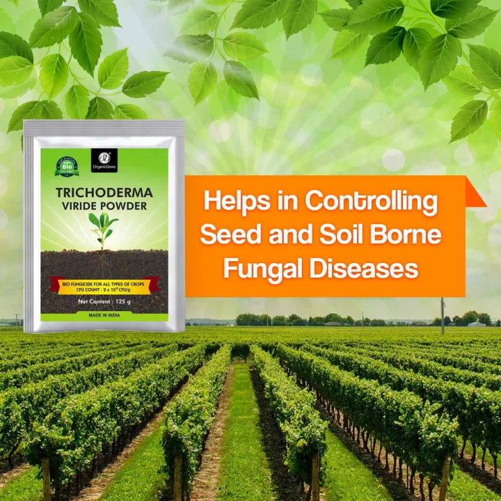 Trichoderma%20Viride%20Powder%20100%20Gram%20Repack%20Bio%20Fungicide%20%20Prevents%20Fungal%20and%20Bacterial%20Diseases%20in%20Plants%20-%20Image%202