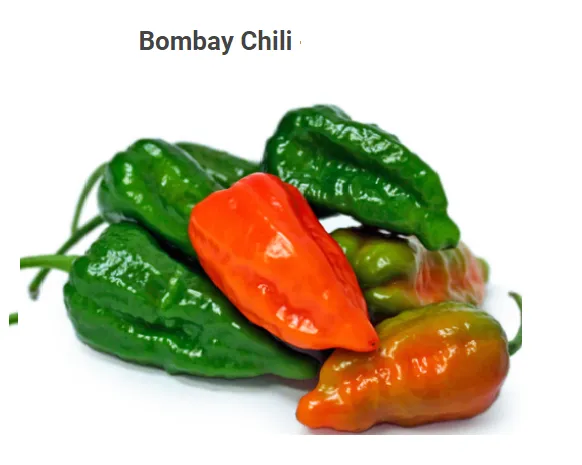 2%20paket%20Bombay%20Chilli%20Seeds%20Hybride%202%20Intact%20Paket%20-%20Image%202