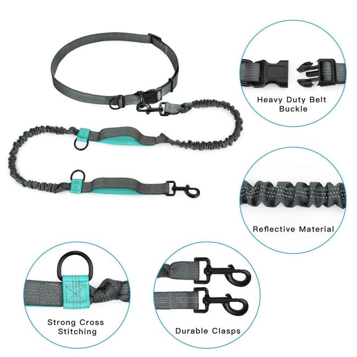 Cute%20#Lake%20Blue%20Direct%20pet%20supplies%20multi-function%20running%20reflective%20pull%20dog%20leash%20double%20elastic%20dog%20leash%20traction%20-%20Image%205