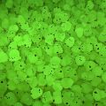 06 pcs Luminous Cute Eggshell /Cartoon Chicken Night glow Egg/ chick White Resin Car Decoration Accessories Car Ornaments Children Surprise Gift Glow at night. 