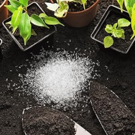 Epsom%20Salt%20-%20100%20gram%20Pack%20-%20Magnesium%20Sulfate%20For%20Plant%20-%20%E0%A6%87%E0%A6%AA%E0%A6%B8%E0%A6%AE%20%E0%A6%B8%E0%A6%B2%E0%A7%8D%E0%A6%9F%20-%20Image%206