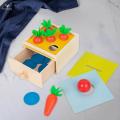 Drawer Toy Montessori Box Wooden Preschool Learning. 