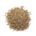 Cumin Seeds (Jeera) Premium (Indian)- 100gm. 