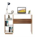 FURNEASER Carren Engineered Wood Study Table, Computer, Laptop, WFH Office Desk with Storage, Large (Exotic Teak & White). 