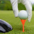 20x Golf Ball Holder Portable Golf Tee for Women Men Beginner Outdoor Sports. 