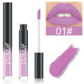 For foreign trade: DUNUF 32 color lipstick matte long-lasting lip gloss wholesale new wholesale long-lasting non-stick cup.