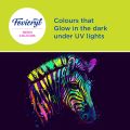 Fevicryl Neon Acrylic Colour Kit, Neon Paints 4 Shades, 15ml.